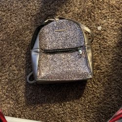 Aldo Purse