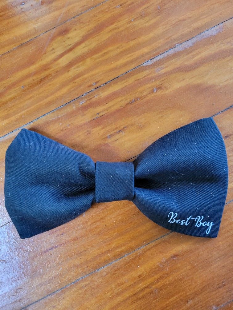 "Best Boy" Dog Collar Bowtie For A Wedding