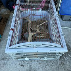 Animal Cage 