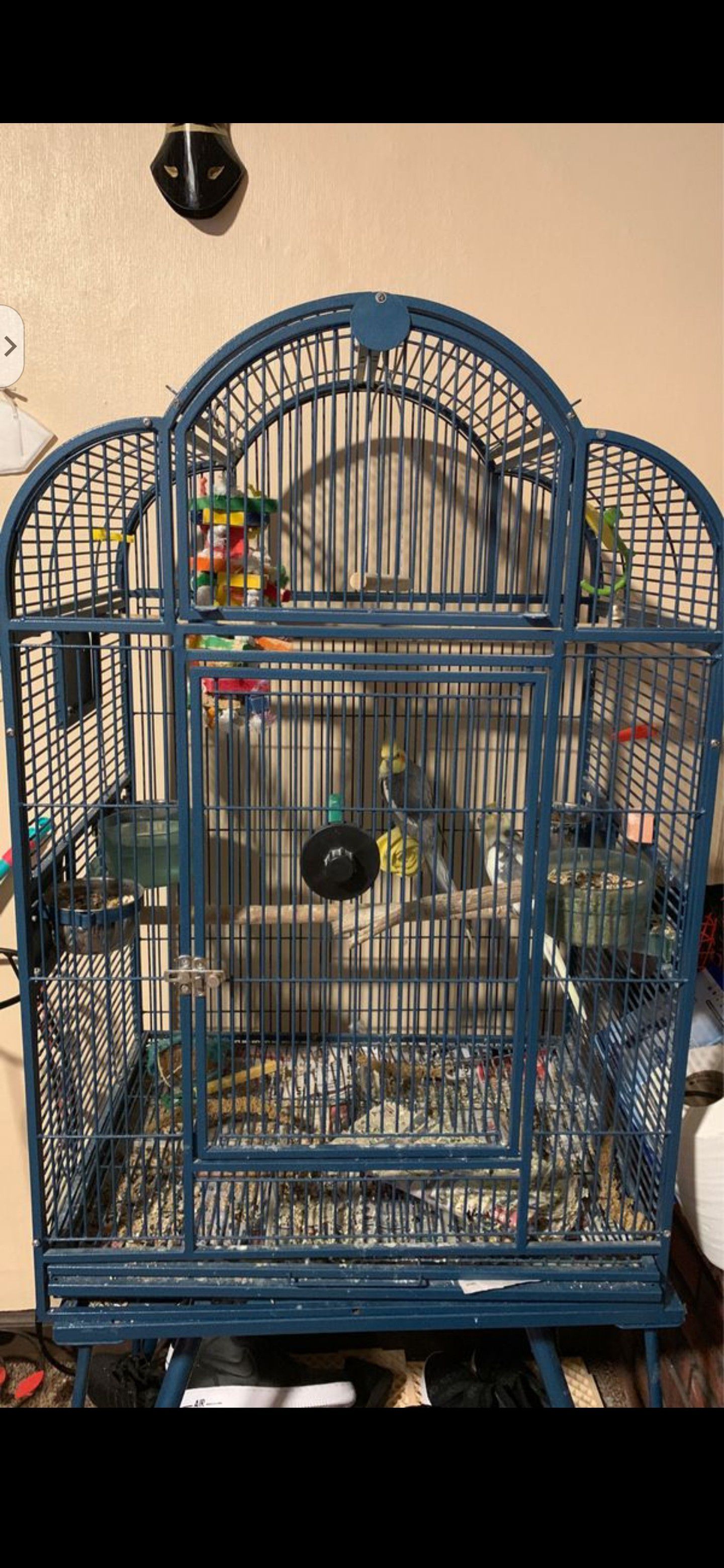 Bird cage/ metal