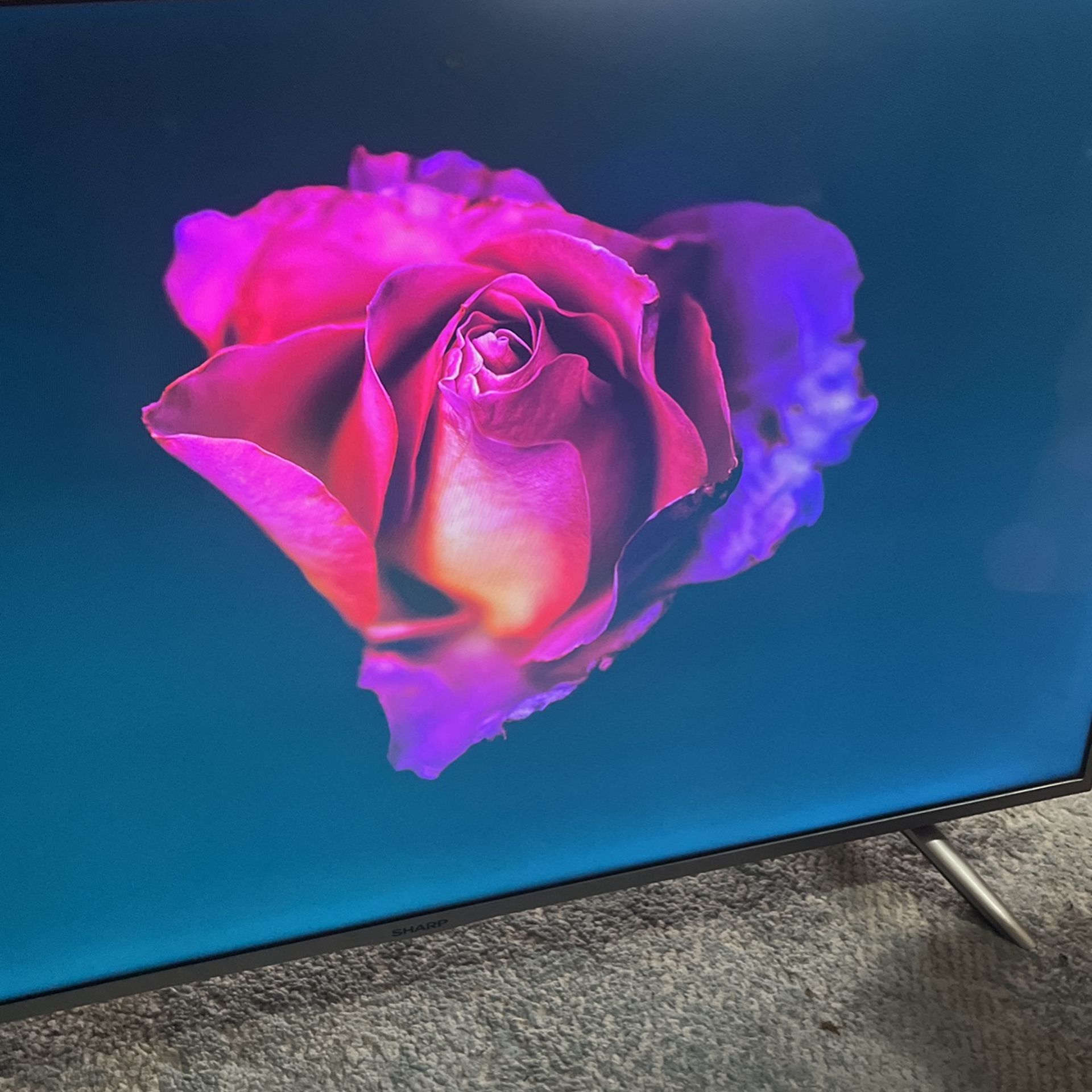 55 Inch SHARP television 1080p