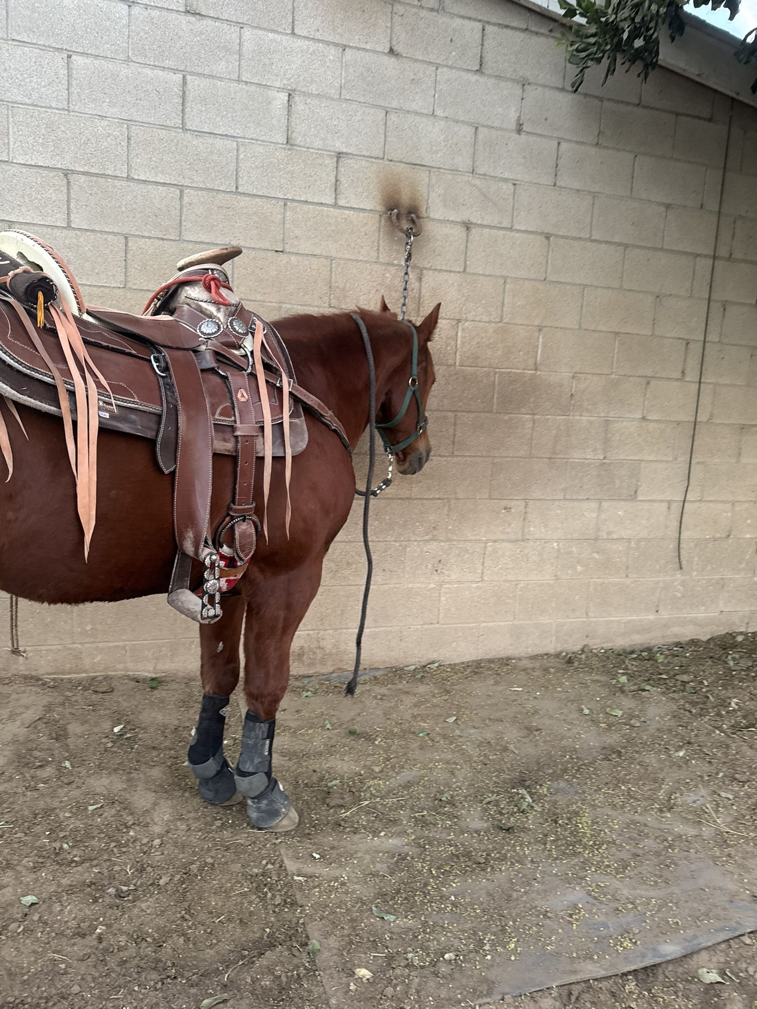 montura en venta/ horse saddle for sale