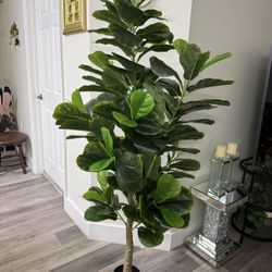 Pretty Artificial Plant 6 Ft Tall Fig Tree! Brand New