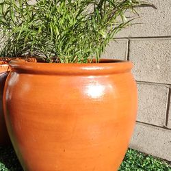Terracotta Large Planters 2 For $120 FREE Delivery In SD 