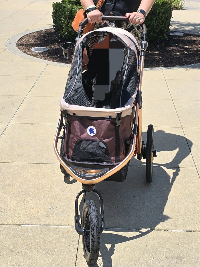 HPZ Pet Rover Run Performance Jogging Sports Stroller