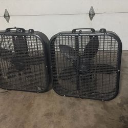 Fans For Sale 