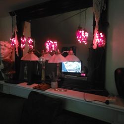 Grapes Lights 5 Bundles
