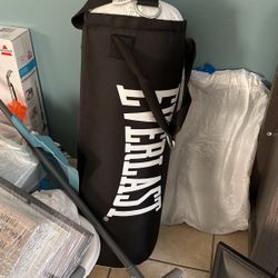 Everlast Punching Bag And Stand.