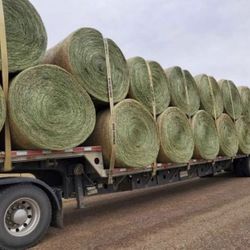 5X6 BIG ROUND BALES OF HAY