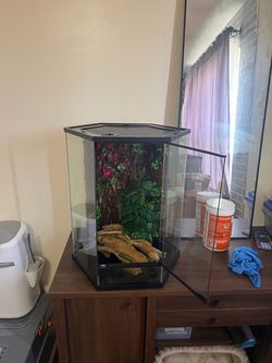 Reptile tank