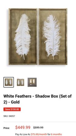 2 Feather Enclosed Gold And Glass Artwork 