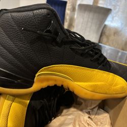 Jordan 12 Size 12 