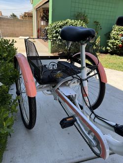 3 Wheel Electric Bike