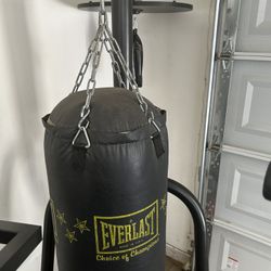 Punching Bag 