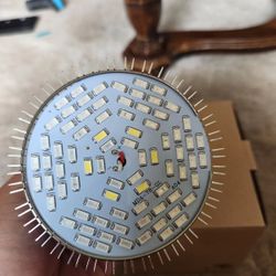 LED Grow Lamp
