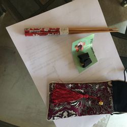 Pro chopsticks with pouch