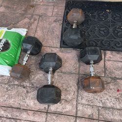 50lb Dumbbells 