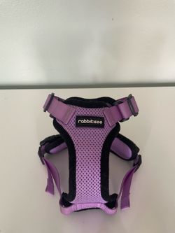 Rabbitgoo Escape-Proof Pet/Cat Harness and Leash Set – Purple, Size XS