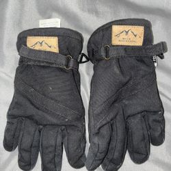 Snow Gloves 