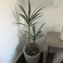 Fake Plant 