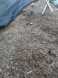 Soil and cheaps