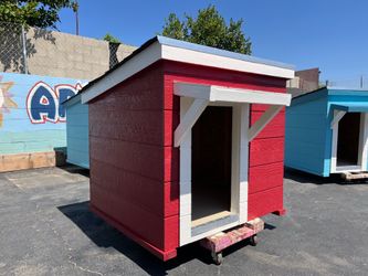 DOG HOUSE 🌧️ Winter Is Coming!