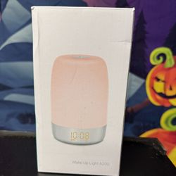Wake Up Light With Clock