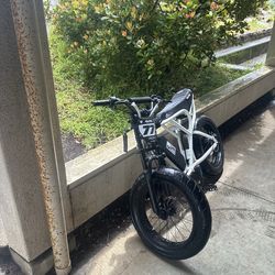 Modded out ridstar ebike (READ DESCRIPTION)
