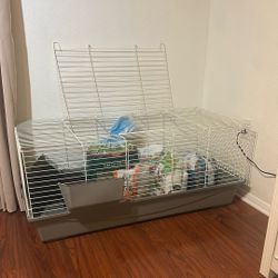 Guinea Pig cage 