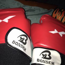 Boxing Gloves 