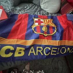 Barcelona Flags