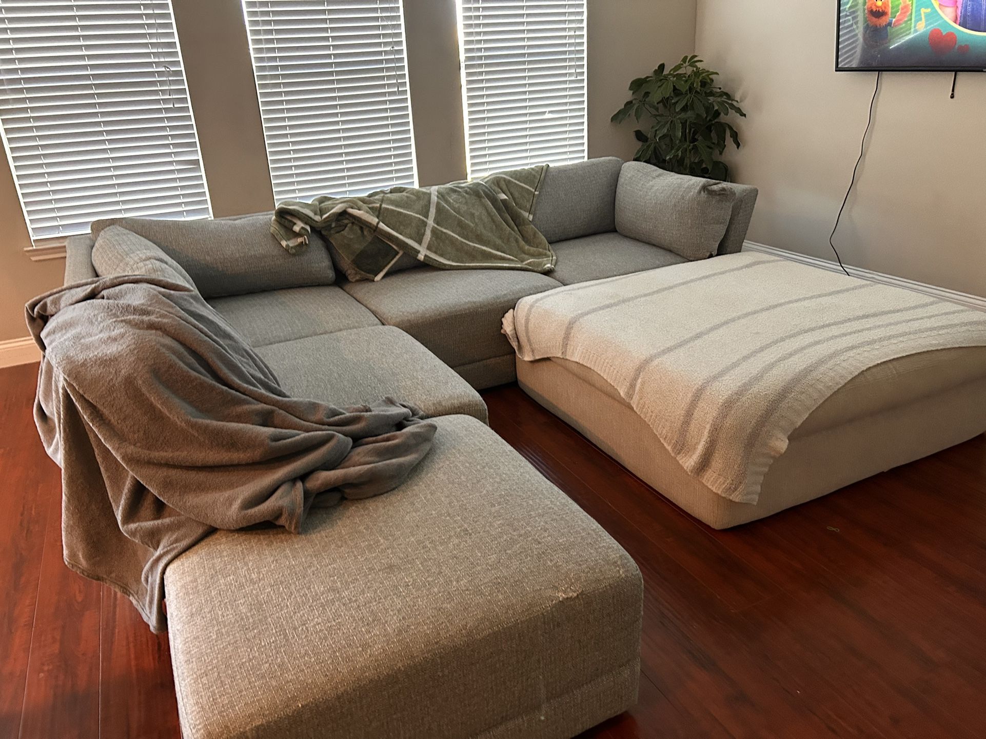 Sectional Couch