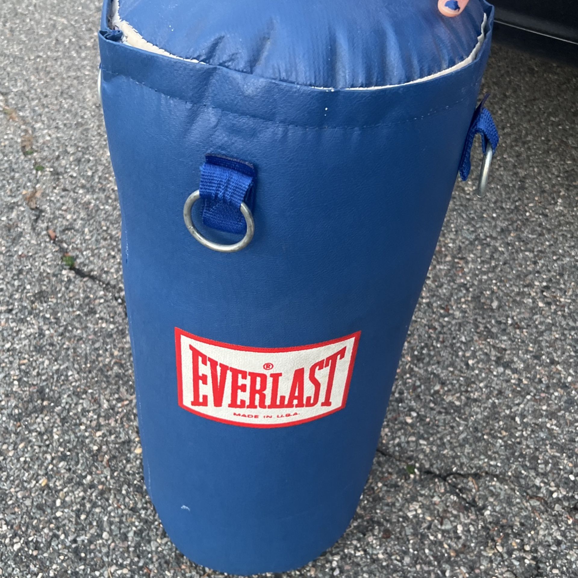 Everlast Punching Bag