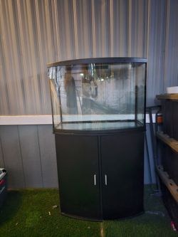 36 gallon fish tank