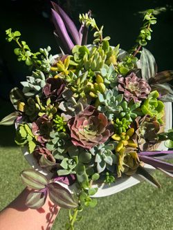 Very Beautiful Succulent Arrangement