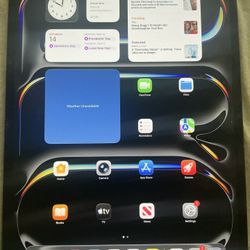 iPad Pro M4 13 Inch WiFi +Cellular 