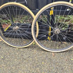 Single Speed/Fixie Wheelset