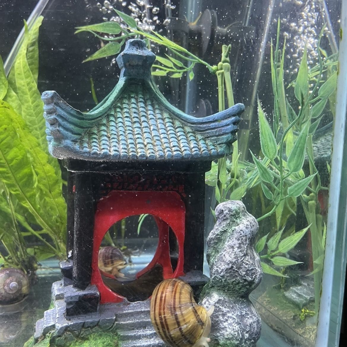 Asian Themed Fish Tank Decorations