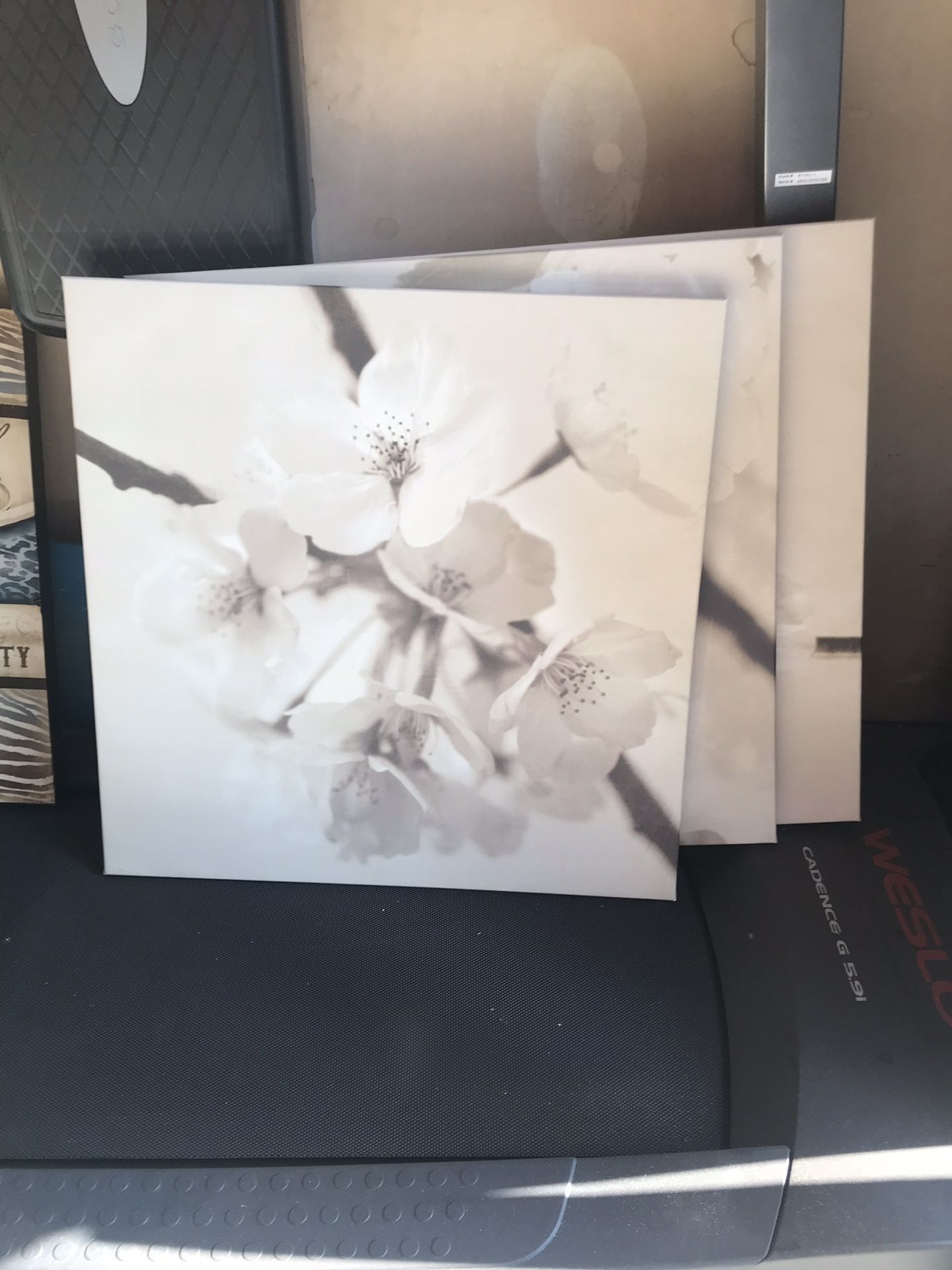 Set of 3 ikea pictures