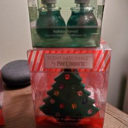 Pier 1 Plug In Warmer W Scent Wallflowers, Each Set