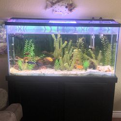 65 Gal. Aquarium With Stand And Accessories 