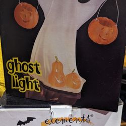 Halloween items In Great Condition  each $25