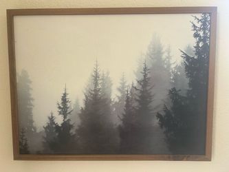 18x 24 wall art -$15