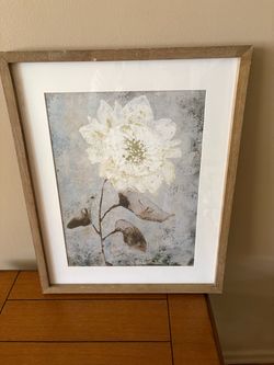 Flower Picture