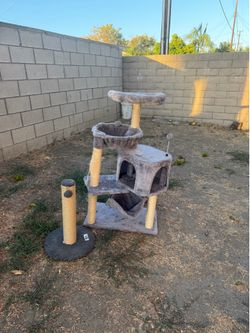 CAT TREE/ SCRATCHER