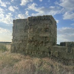 Hay (3 Way) 