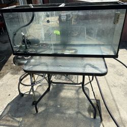 55 Gal Fish Tank
