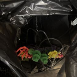 Fish Tank 10-15 Gallon Not Sure