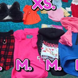 XS,S,,M,L Available Doggy Sweaters