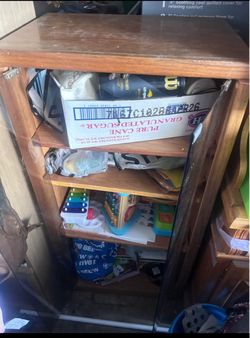Wooden Storage Cabinet with Shelves